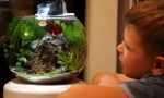 Aquarium pentru copil