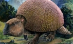 Glyptodon
