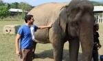 Cum a îmblânzit elefantul asiatic