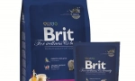 Cat food brit: recenzii și recomandări ale medicilor veterinari