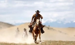 Care sunt astfel de cowboy?
