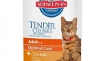 Cat food review trainer