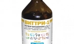 Caracteristicile complexului viterri-1 pregătirea vitaminei pentru pisici