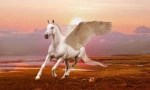 Pegasus
