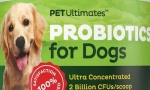 Probiotic pentru câini