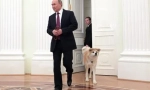 Președintele rus vladimir putin câini