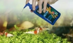 Instrumente pentru acvariu. Chimie de îngrijire, vitamine, climatizoare