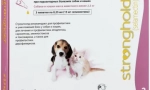Strong pentru pisici: eliberarea eficientă a animalelor de companie de la paraziți