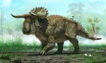 Dinozaurii de herbivore