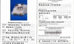 Pașaport veterinar pentru cat: nuanțele de proiectare a documentelor