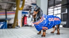 4 Taxe renumite care ajută oamenii