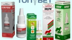 Amitrasina de la acarieni la pisici