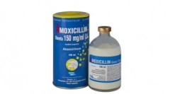 Amoxicilina pentru pisici: mărturie, regim de primire și alte puncte importante