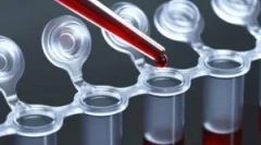 Testul de sânge pentru viermi la copii și adulți