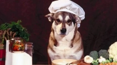 Dish all unul câte unul