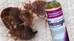 Blocadă antiklop și ordin de aplicare