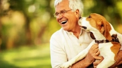 Câinii periculoși pentru om