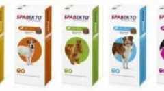 Bravkto de la căpușe, purici și alți paraziți