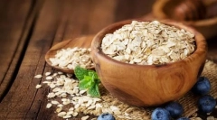 Buzunar rapid pentru câini