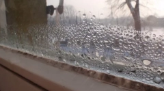 Remedii de uz casnic și folclorice pentru distrugerea matriței