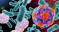 Ce bacterii diferă de viruși?