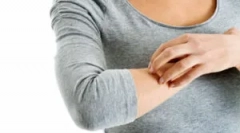 Decât puricii periculoși pentru om?