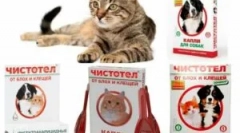 Sărbătorit din purici și căpușe pentru pisici și câini