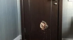 Ce fac caini atunci cand proprietarii nu sunt la domiciliu: top 10 clase ciudate