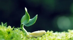 Ceea ce este necesar pentru a menține viața?