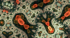 Care sunt cele mai simple?