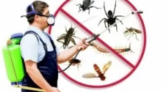 Ce este dezinsecția, speciile și ordinea