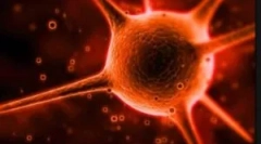 Ce este cryptosporidia și care sunt metodele tratamentului său?