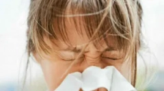 Dermatofag peric sau praf tick