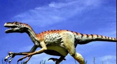 Dromeosaur