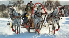 Călătoresc în ham