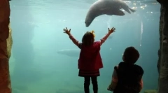 Fotografii de animale din planeta noastră