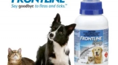 Frontline pentru pisici: instrucțiuni de utilizare