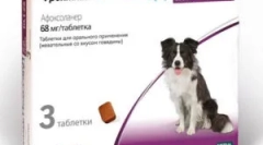 Frontline nexgard și instrucțiuni pentru utilizarea sa