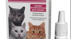 Gestrenol pentru pisici: cazuri de numire și recomandări pentru utilizare