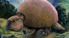 Glyptodon