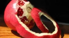 Crusta de rodie - rețete de la viermi