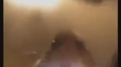 Hamster se uită în cameră: ce înseamnă noul meme