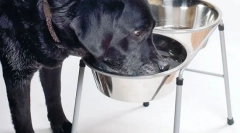 Boala renală cronică