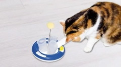 Jucării pentru pisică