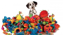 Jucării pentru câini: periculoase și sigure