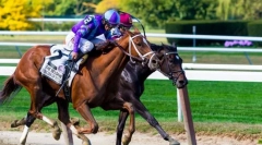 Jocuri cu participarea caii