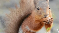 Fapte interesante despre proteine