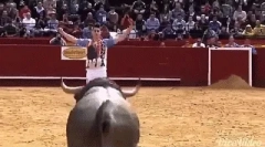 Fapte interesante despre tauri