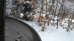 Fapte interesante despre site-uri