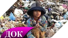 Fapte interesante despre poluarea mediului